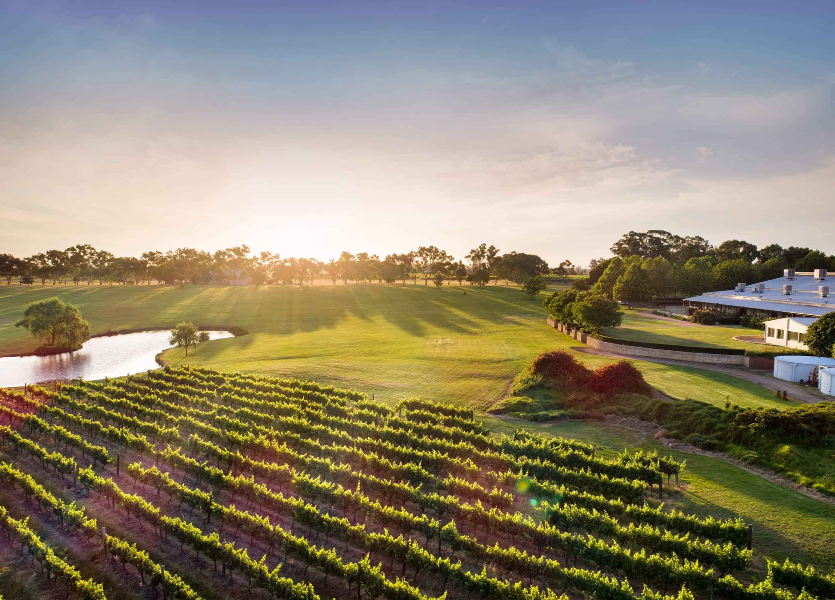 Ultimate Swan Valley Food and Wine Day Trip from Perth