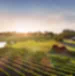 Ultimate Swan Valley Food and Wine Day Trip from Perth