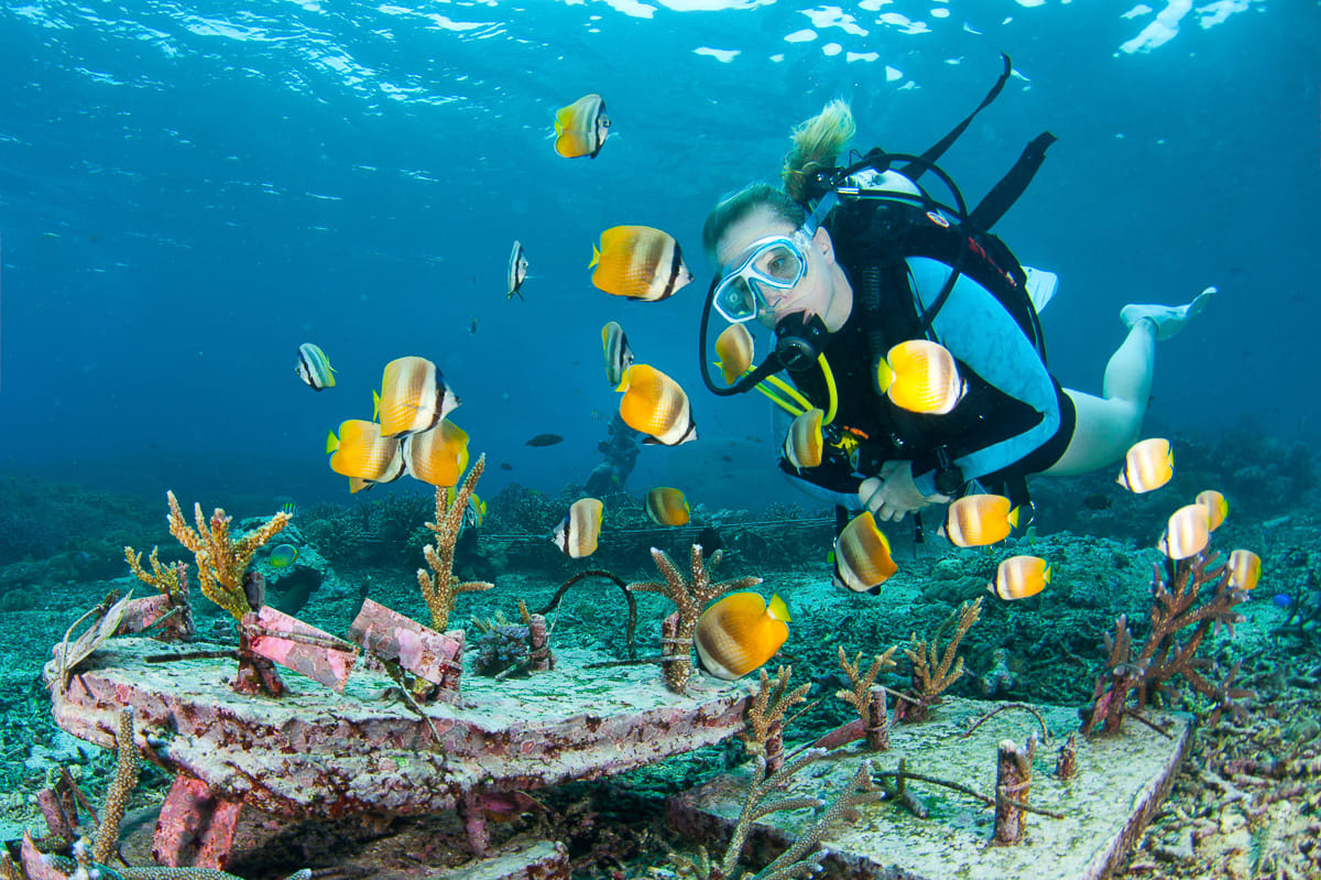 Scuba Diving for Only Certified Divers at Nusa penida : 2 Dives MANTA TRIP (min. 2 pax). Pick up at Hotel in Nusa Penida