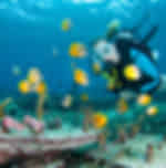 Scuba Diving for Only Certified Divers at Nusa penida : 2 Dives MANTA TRIP (min. 2 pax). Pick up at Hotel in Nusa Penida