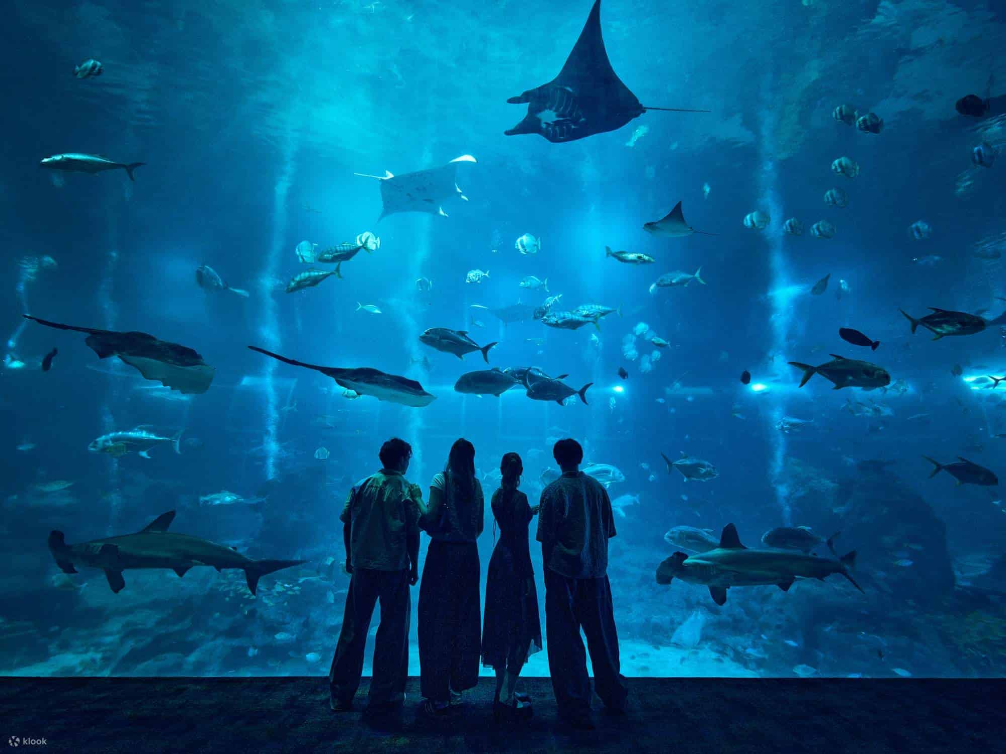 Sentosa Combo: Cable Car, Singapore Oceanarium and Wings of time on private basis 