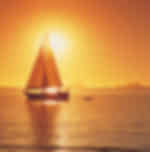 Enjoy Dolphin spotting at Port Stephens & Sandboarding Tour