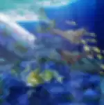 Odysseo Oceanarium With Private Transfers