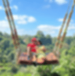 My Swing and Tanah Lot Tour with Private transfers