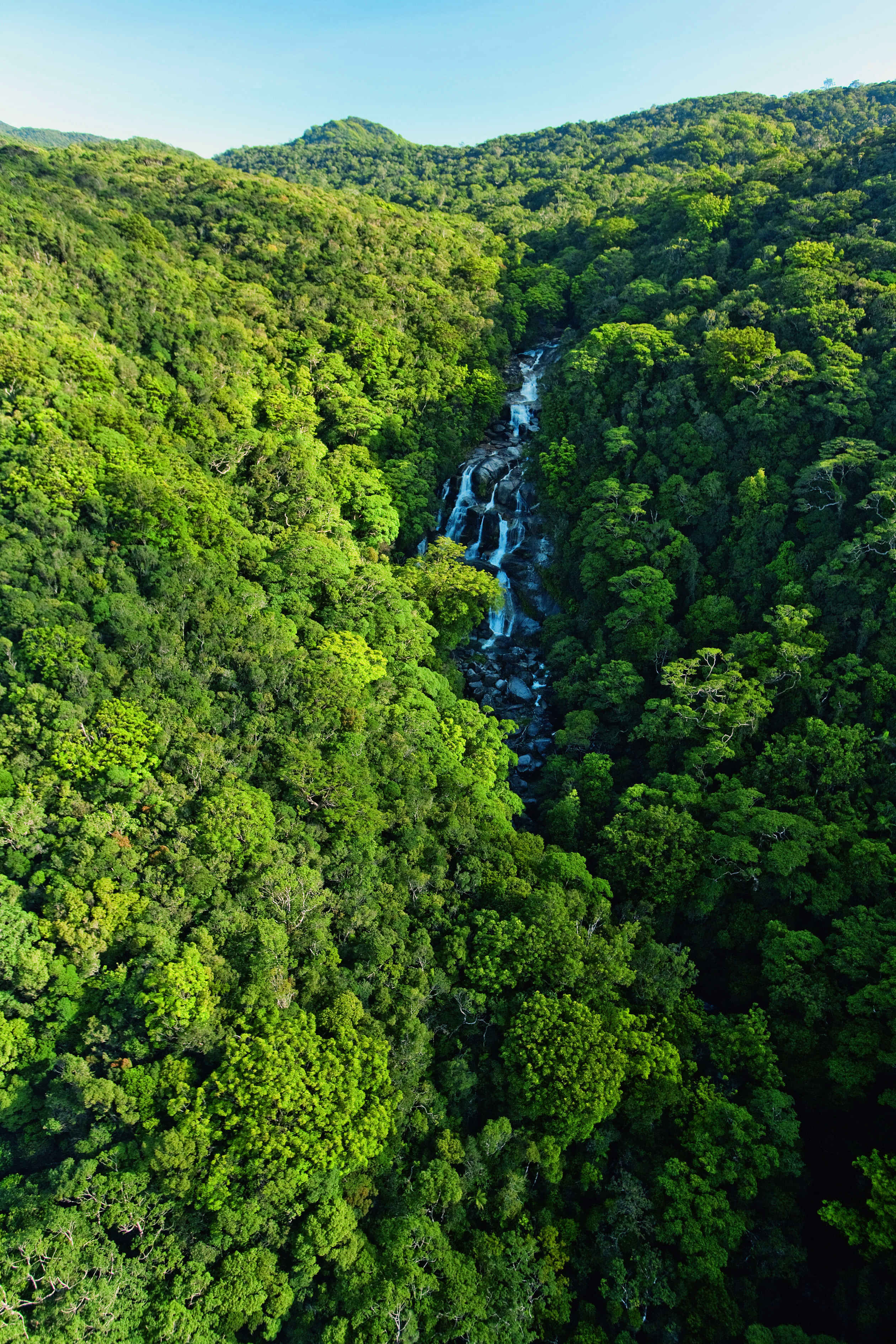 Exciting day trip covering - Strolling at Cape Tribulation, swimming at Mossman Gorge and crocodile spotting