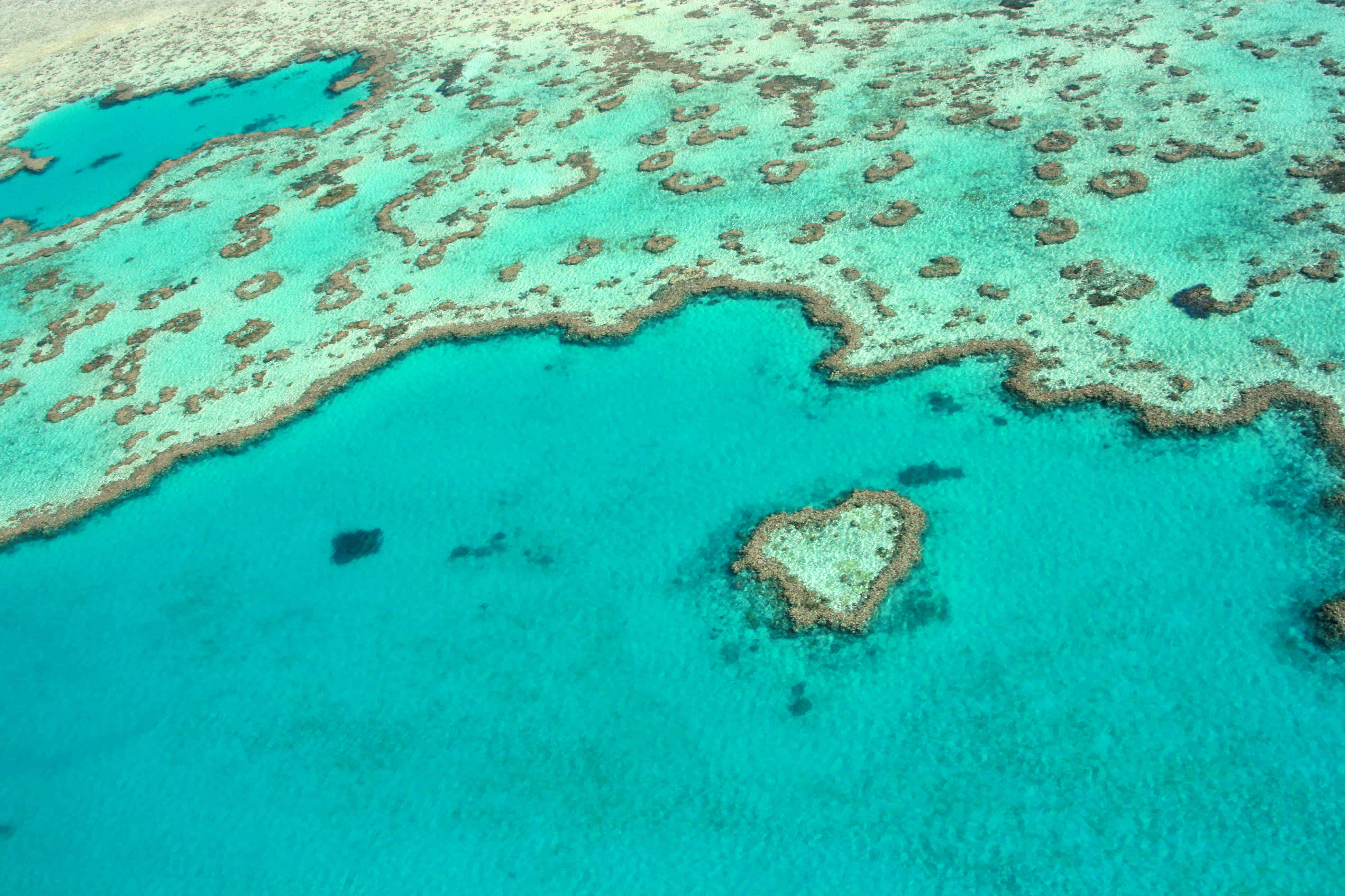 Great Barrier Reef Experience