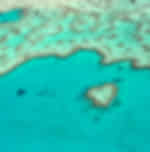Great Barrier Reef Experience