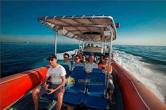 Dolphin Sighting on High-Speed Boat Ride 