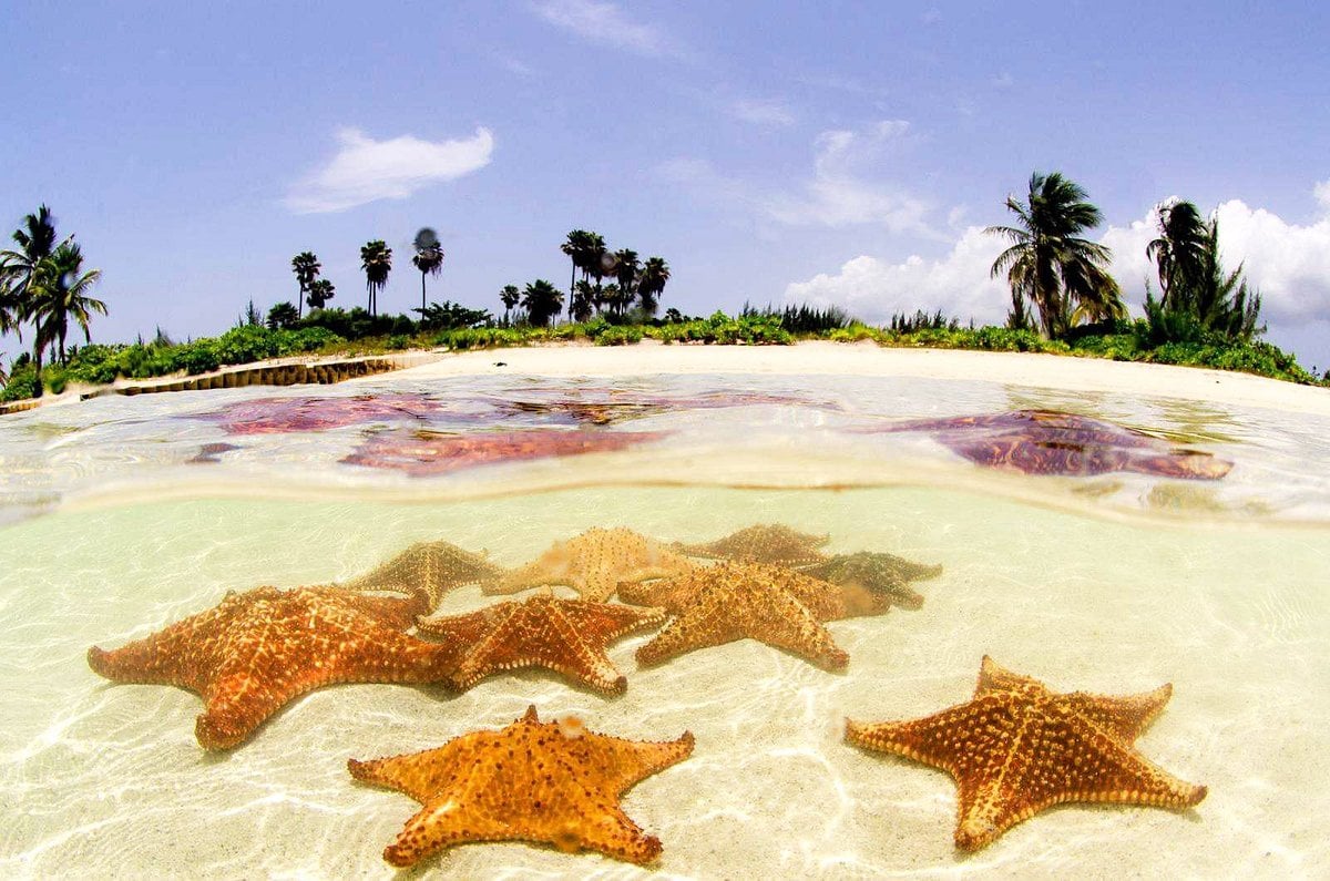 North Adventure - Kayaking, Rach Vem Starfish Beach & National Park  ( National Park can be viewed from outside)