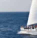 Aristocat Luxury Catamaran Cruise to Nusa Lembongan Island & Water Activities