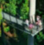 Mount Tamborine Day Trip from the Gold Coast Including Skywalk