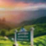 Nuwara Eliya Scenic Tour Tea Factory, Hakgala Botanical Gardens, Seetha Amman Temple and Ramboda Falls