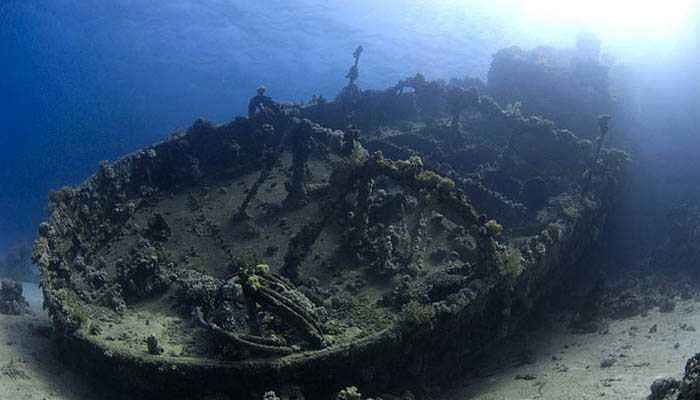 Experience Scuba Diving at the Liberty Shipwreck 