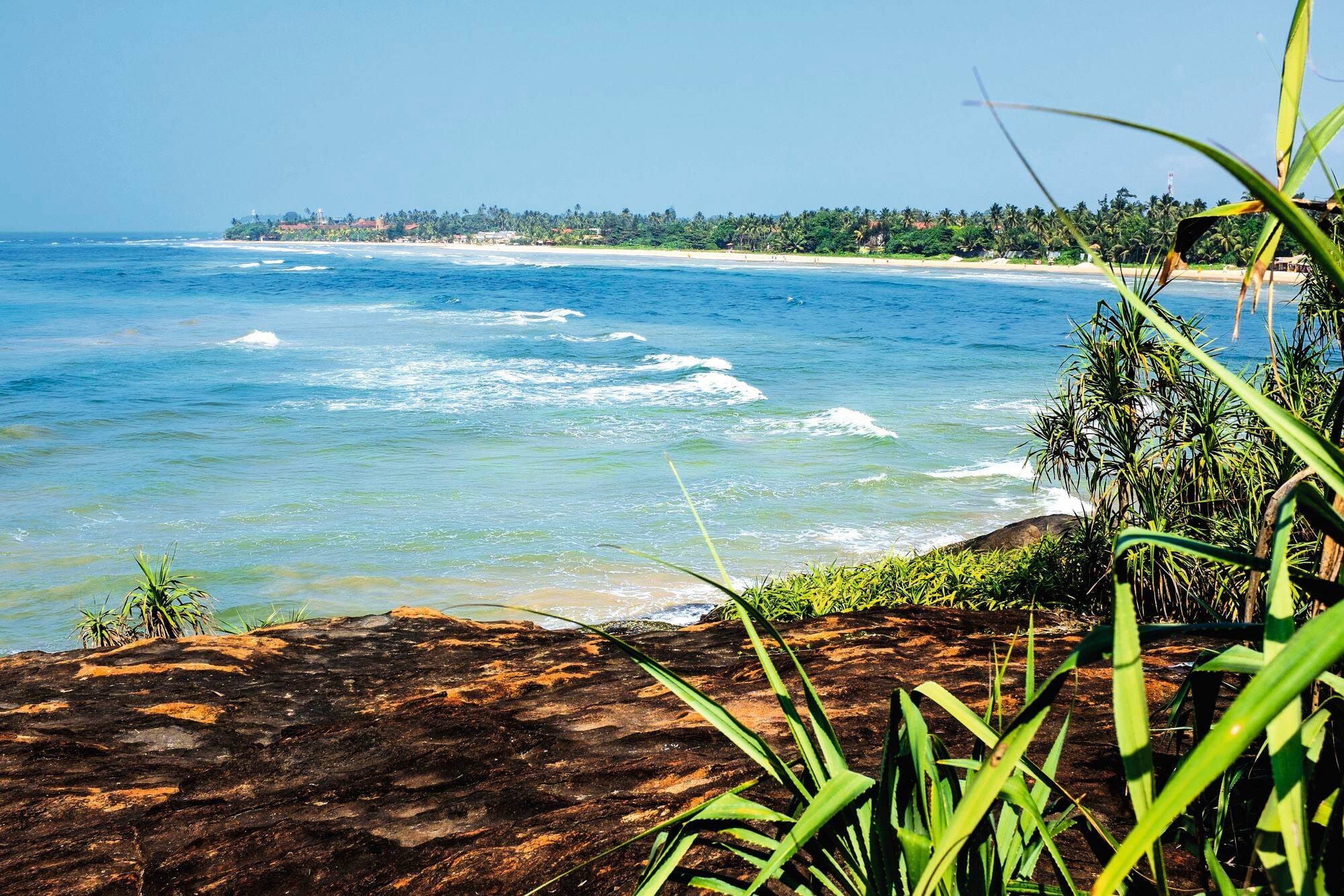Bentota city tour : Experience Madhu River Ride ,Turtle Hatchery, Amblangoda Mask factory, Evening Galle fort tour (Enroute)