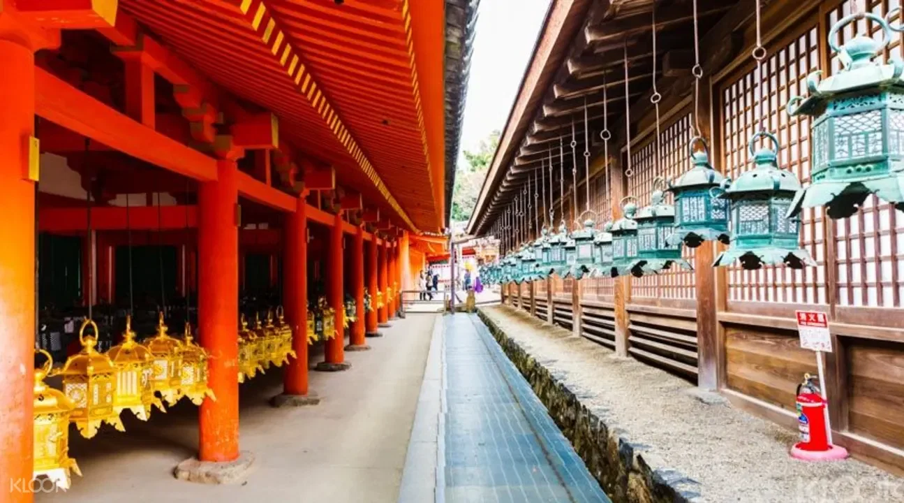 Sacred Nara, Elegant Kyoto & Osaka Nights - Sacred Nara, Elegant Kyoto & Osaka Nights
