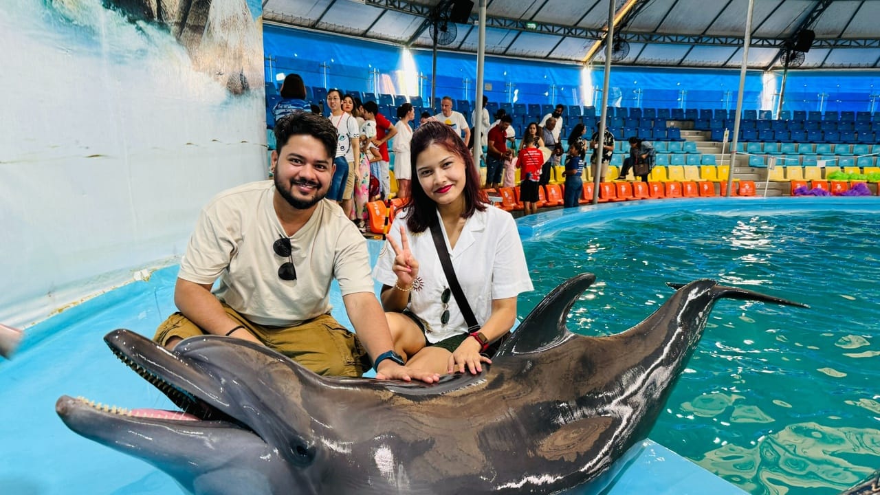 Phuket-Dolphins Bay - Regular Seat (Show with Private Transfer) (Closed on Monday) 