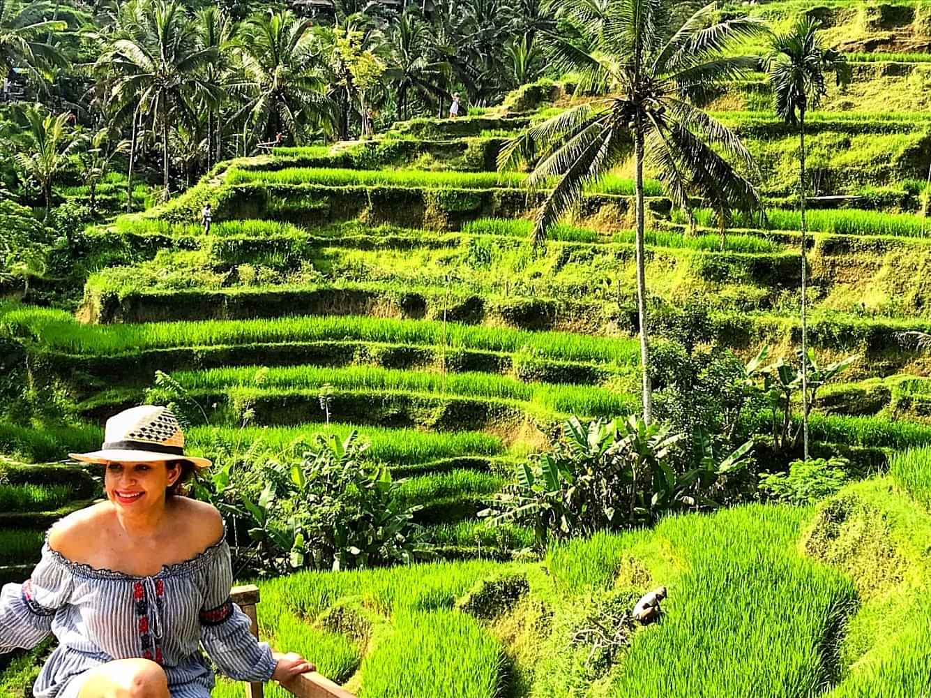 Kintamani Volcano ,Tegallalang Rice Terraces, Ubud monkey forest with private transfers