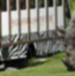 Experience Exciting Safari Ride + Fun Waterpark at Bali Safari & Marine Park