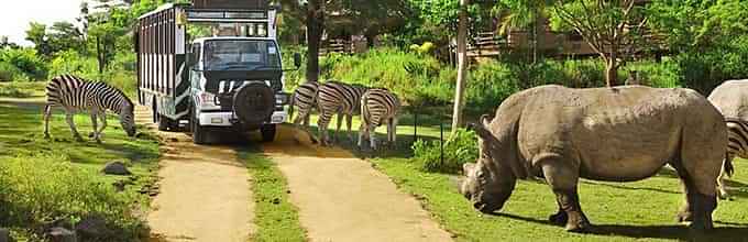 Experience Exciting Safari Ride + Fun Waterpark at Bali Safari & Marine Park