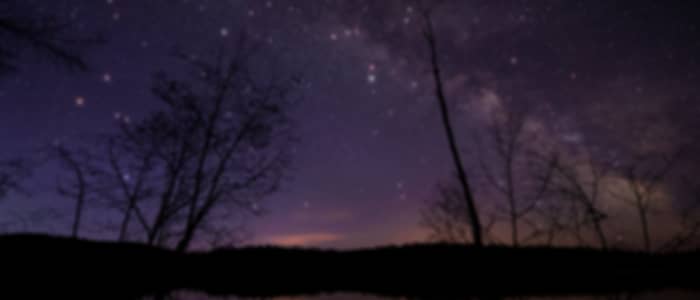 Stargazing Under Neil Island's Night Sky