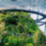 City Tour, Marina Bay Sands and Gardens By The Bay (Cloud Forest and Flower Dome) with Shared Transfers
