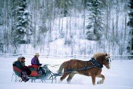 Kakslauttanen 6 Nights 7 Days Family Itinerary
