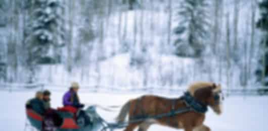 Kakslauttanen 6 Nights 7 Days Family Itinerary
