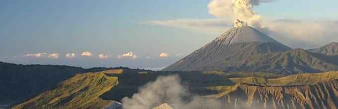 Guided Nature Tour: Kintamani Volcano View Spot, Coffee Plantation and Tegallalang Rice Terraces