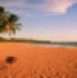 Galle Dutch Fort , Dutch Museum, Unawatuna - Beach, Jungle Beach, Dalawella beach , Induruwa beaches Galle City tour
