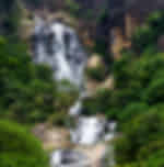 Ella city tour : Ravana Ella Cave , Ravana Falls , Nine Arch Bridge