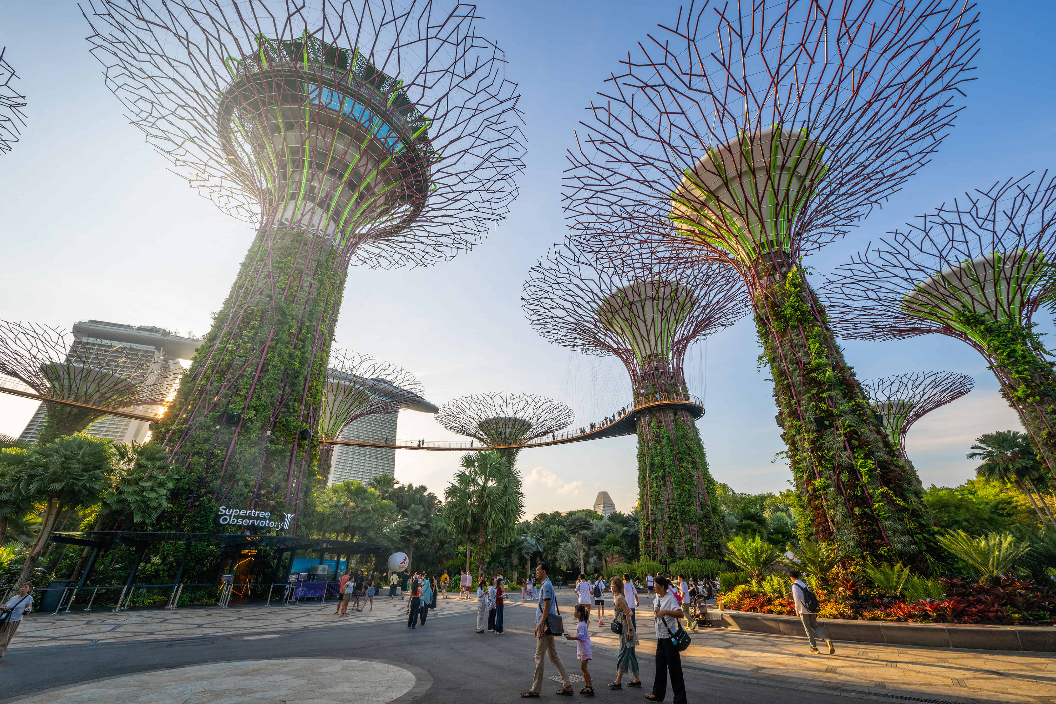 MBS, Gardens By The Bay [Flower dome and cloud forest] With Shared Transfers