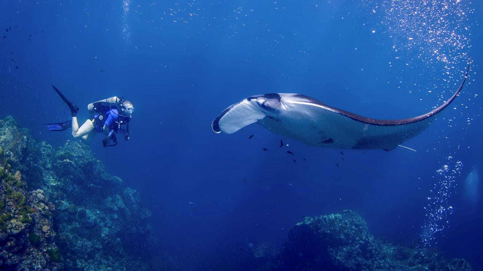 Phuket: Scuba Diving (2-Dives) (Excluding Island Fee 600 THB) (Shared Transfer)
