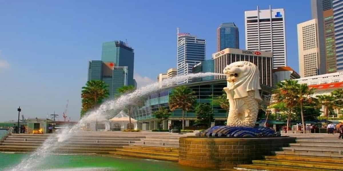 City Tour and Gardens By The Bay (Cloud Forest and Flower Dome) with Private Transfers