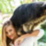 Zoo Explorer at Bali Zoo with Indian Lunch and Private Transfers
