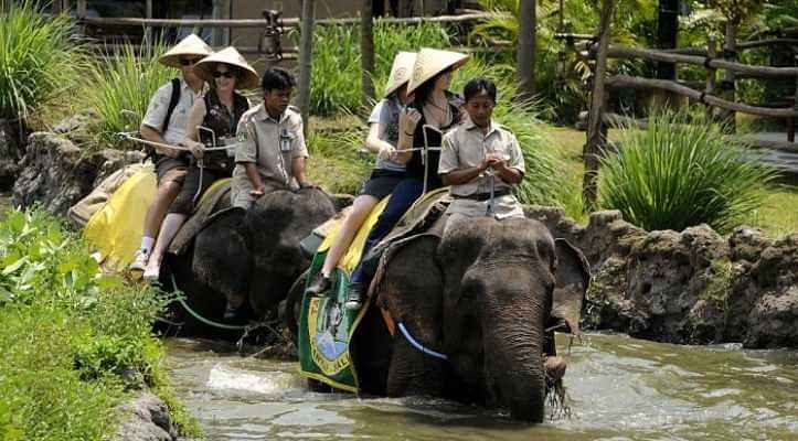 Experience Exciting Safari Ride + Fun Waterpark At Bali Safari & Marine Park 