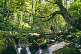 Batumi 6 Nights 7 Days Group Itinerary