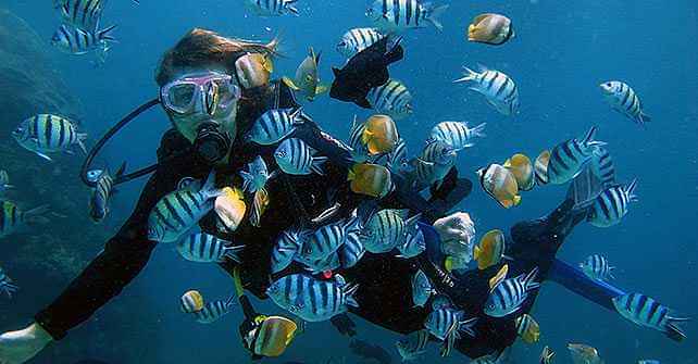 Experience Scuba Diving At Nusa Dua