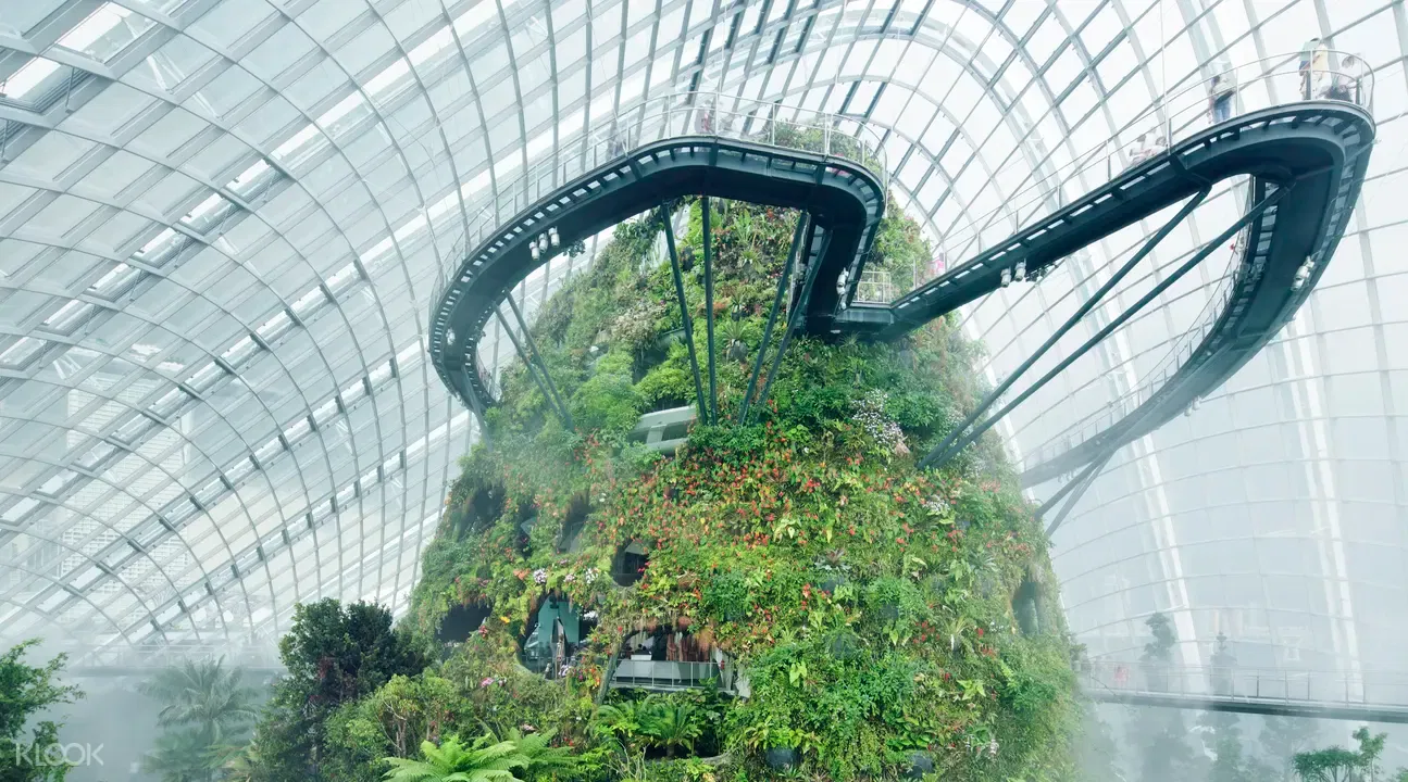 MBS, Gardens By The Bay [Flower dome and cloud forest] With Shared Transfers