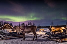 Kakslauttanen 7 Nights 8 Days Itinerary