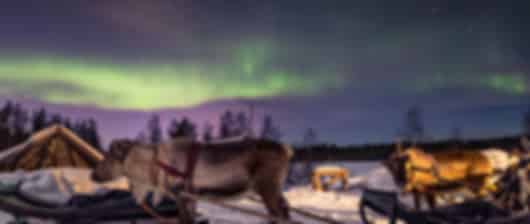 Kakslauttanen 7 Nights 8 Days Itinerary