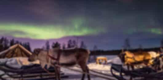 Kakslauttanen 7 Nights 8 Days Itinerary