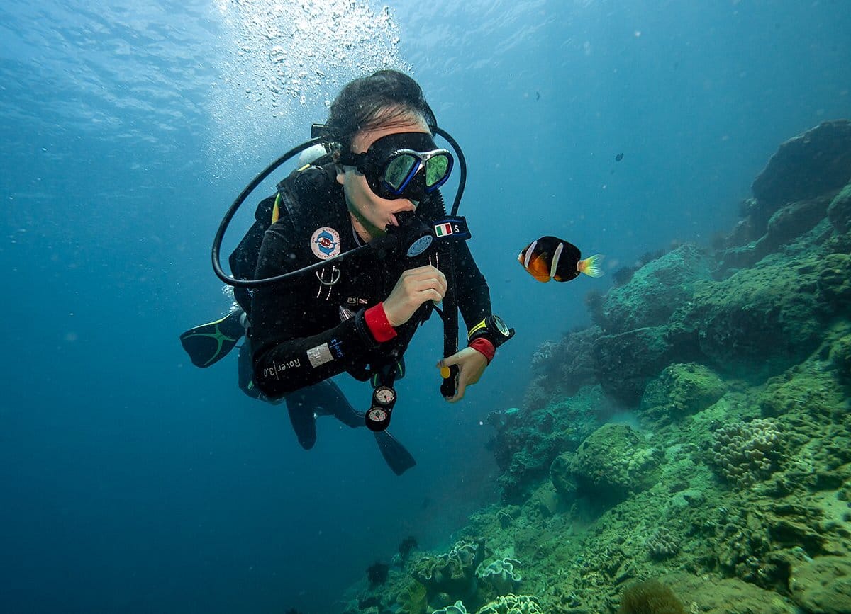 Danang – Cham Island Sightseeing And Snorkeling SIC