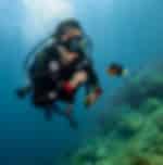Danang – Cham Island Sightseeing And Snorkeling SIC