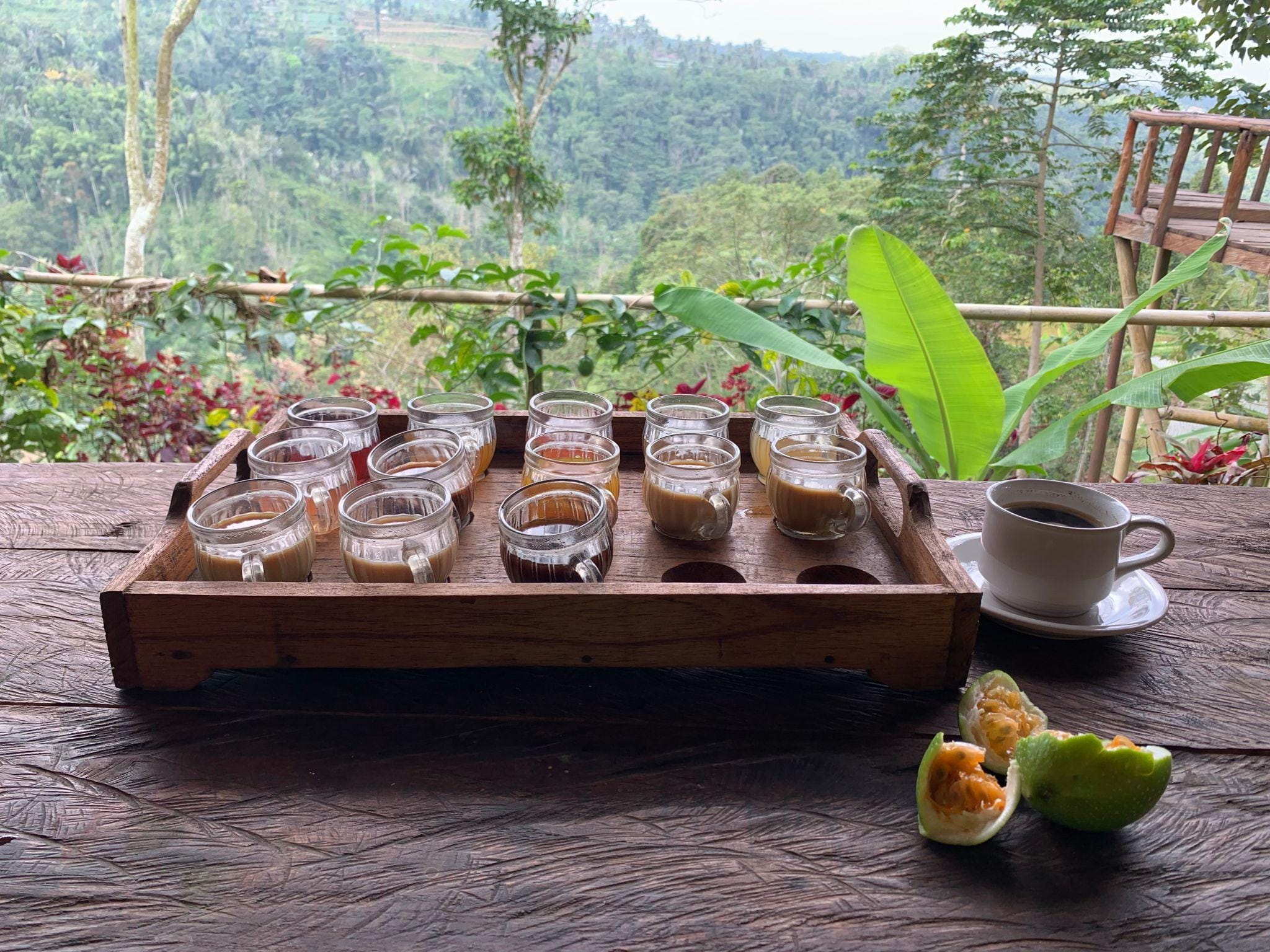Bali Coffee Plantation Visit with Tasting Experience