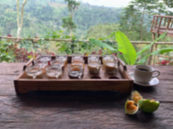 Bali Coffee Plantation Visit with Tasting Experience
