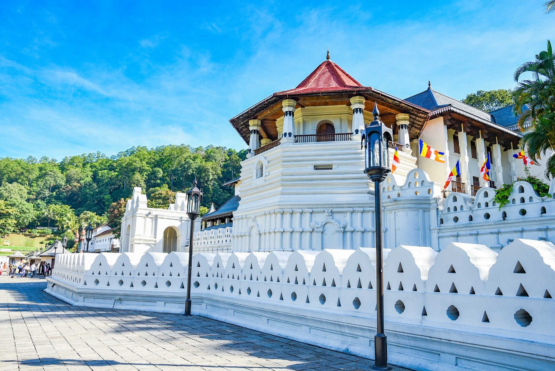 Transfer with Pinnawala Elephant Orphanage, Peradeniya Gardens and Temple of the Tooth Relic