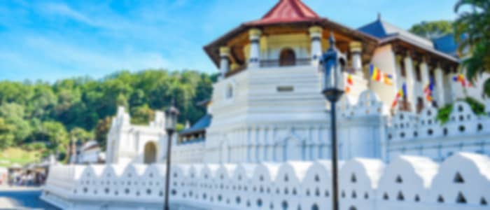 Transfer with Pinnawala Elephant Orphanage, Peradeniya Gardens and Temple of the Tooth Relic