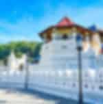 Transfer with Pinnawala Elephant Orphanage, Peradeniya Gardens and Temple of the Tooth Relic