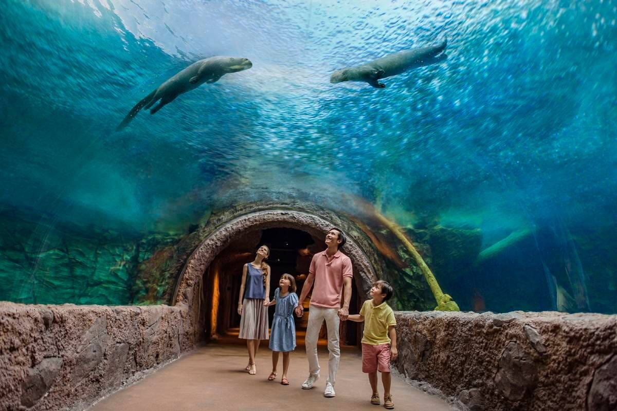 River wonders and Singapore zoo on private transfers 