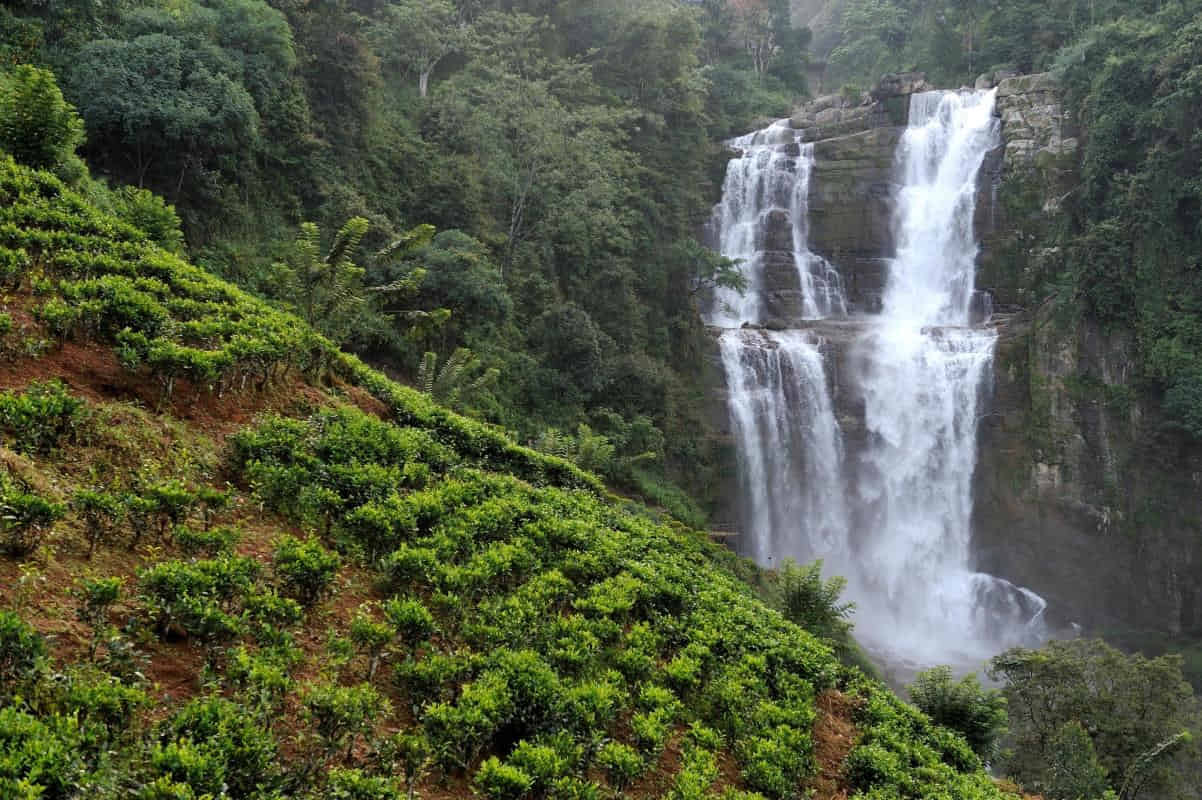 Nuwara Eliya city tour: Ramboda Falls, Bakth Hanuman temple, Tea factory visit and Gregory lake (Enroute Kandy to Nuwara Eliya)